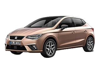 Seat biza